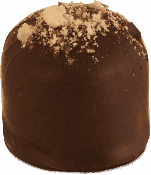 Single Hazelnut Truffle image